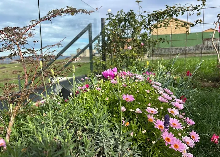 Ballota 21 アパート